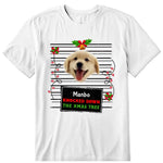 Knocked Down The Xmas Tree Personalized Photo Upload T-Shirt, Hoodie & Sweatshirt - Name, text, dog photo can be customized