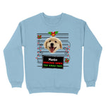 standard-crew-neck-front-light-blue