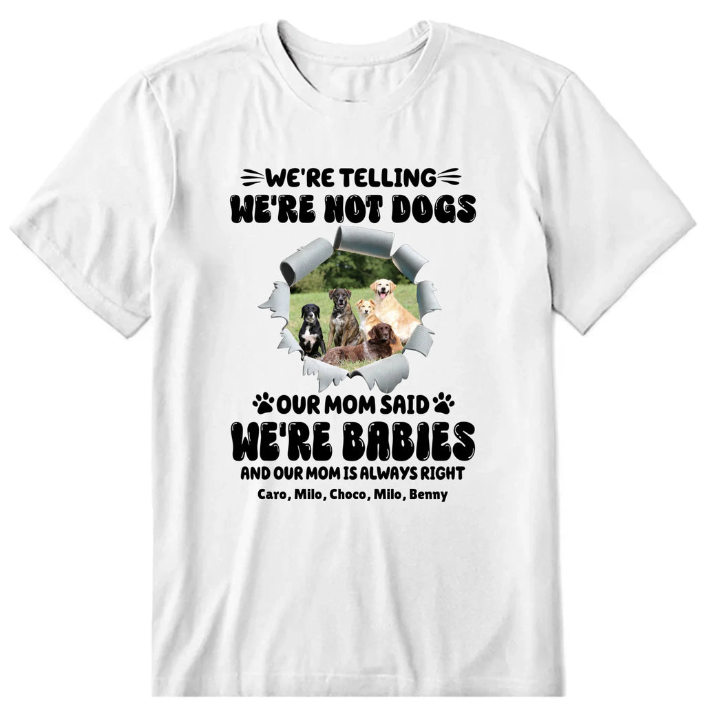 We're Not Dogs We're Babies Personalized T-Shirt, Hoodies & Sweatshirt - Photo, dog name can be customized