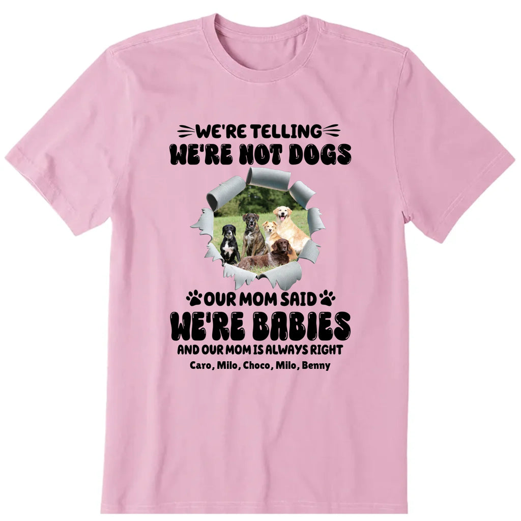 We're Not Dogs We're Babies Personalized T-Shirt, Hoodies & Sweatshirt - Photo, dog name can be customized