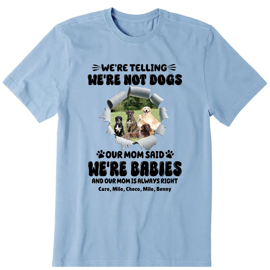 We're Not Dogs We're Babies Personalized T-Shirt, Hoodies & Sweatshirt - Photo, dog name can be customized