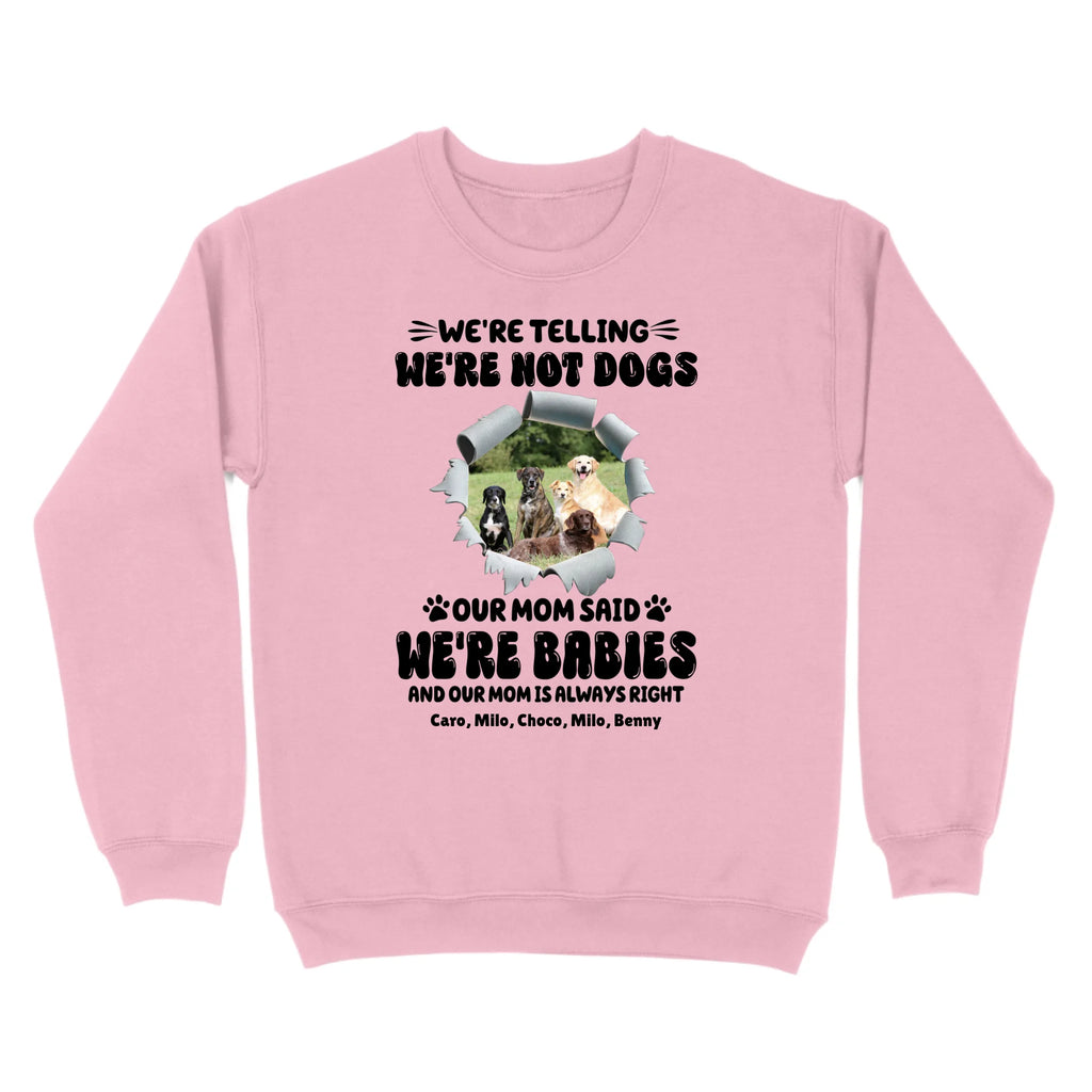 standardcrewneckfrontlightpink1616617935836