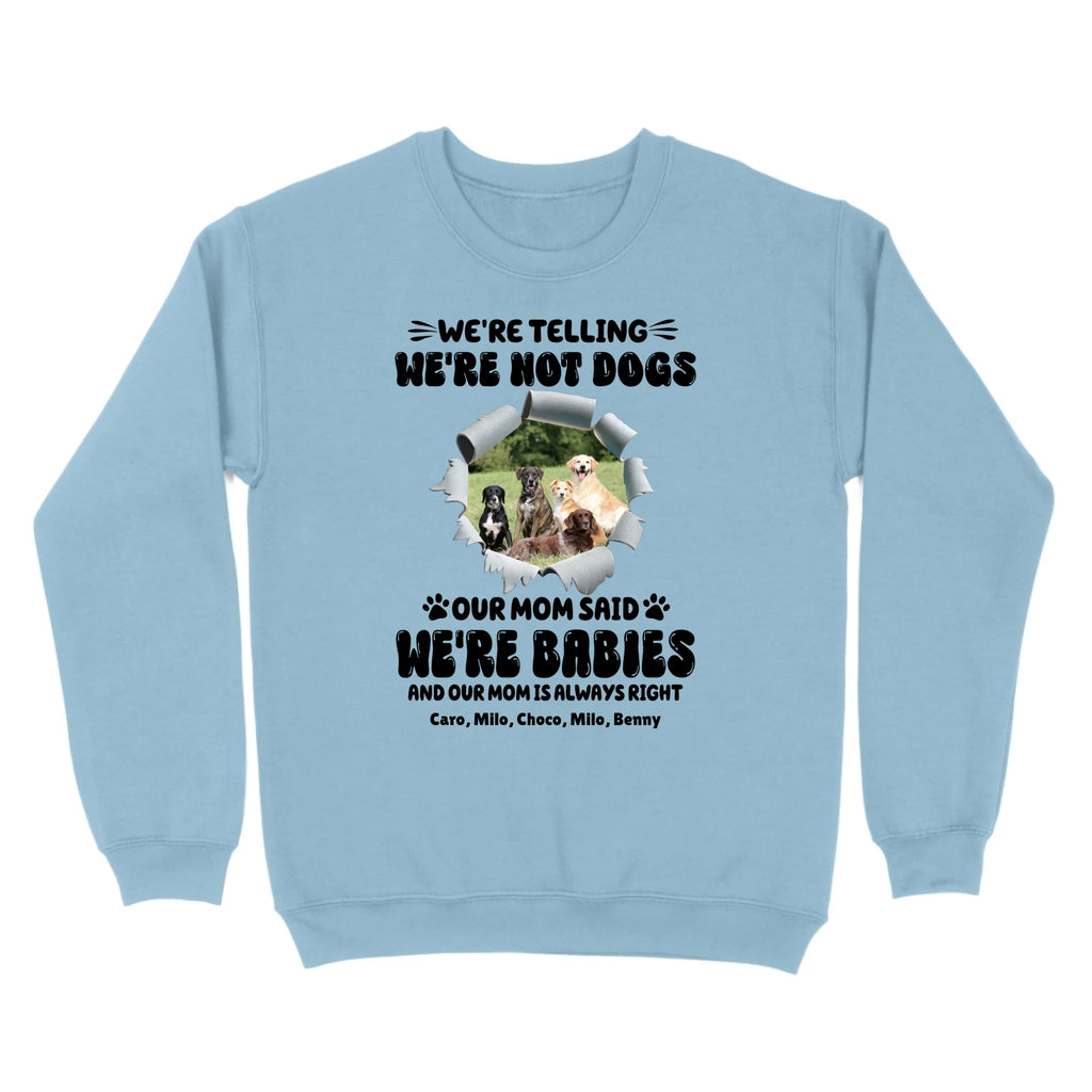 standard-crew-neck-front-light-blue