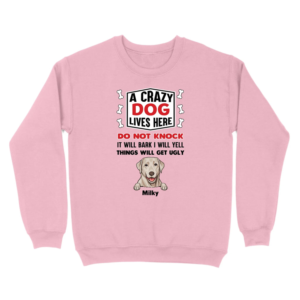 standardcrewneckfrontlightpink1616617935836