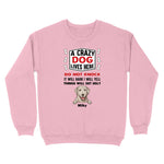 standardcrewneckfrontlightpink1616617935836
