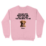 standardcrewneckfrontlightpink1616617935836